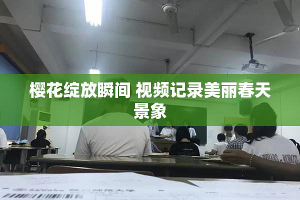 樱花绽放瞬间 视频记录美丽春天景象