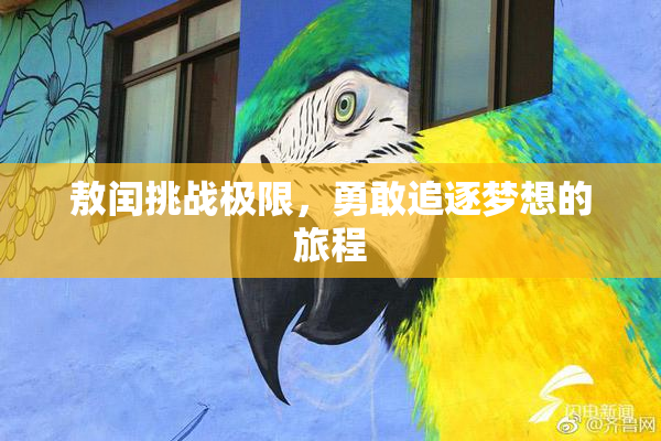 敖闰挑战极限，勇敢追逐梦想的旅程