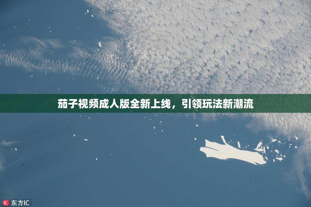 茄子视频成人版全新上线，引领玩法新潮流