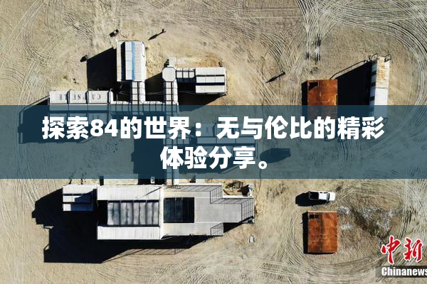 探索84的世界：无与伦比的精彩体验分享。