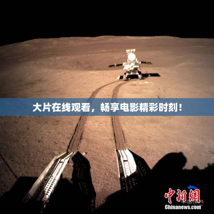 大片在线观看，畅享电影精彩时刻！