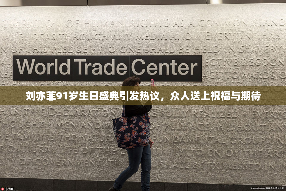 刘亦菲91岁生日盛典引发热议，众人送上祝福与期待