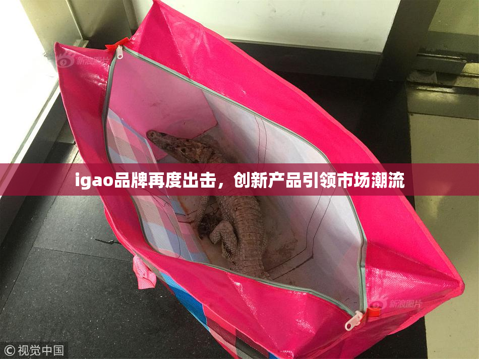 igao品牌再度出击，创新产品引领市场潮流