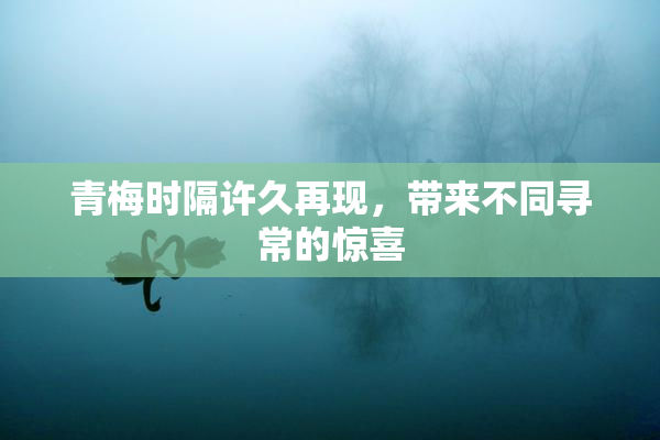 青梅时隔许久再现，带来不同寻常的惊喜