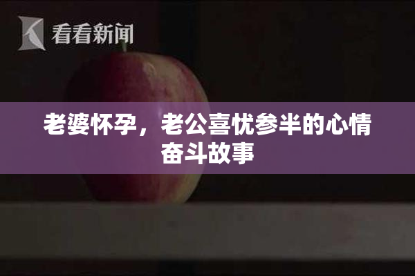 老婆怀孕，老公喜忧参半的心情奋斗故事