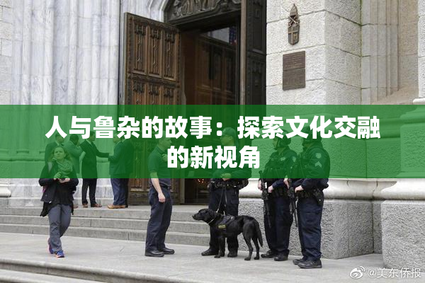 人与鲁杂的故事：探索文化交融的新视角