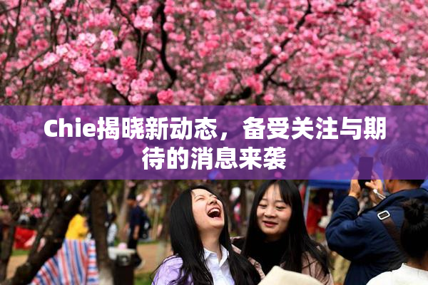 Chie揭晓新动态，备受关注与期待的消息来袭