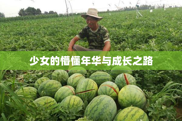 少女的懵懂年华与成长之路