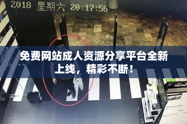 免费网站成人资源分享平台全新上线，精彩不断！