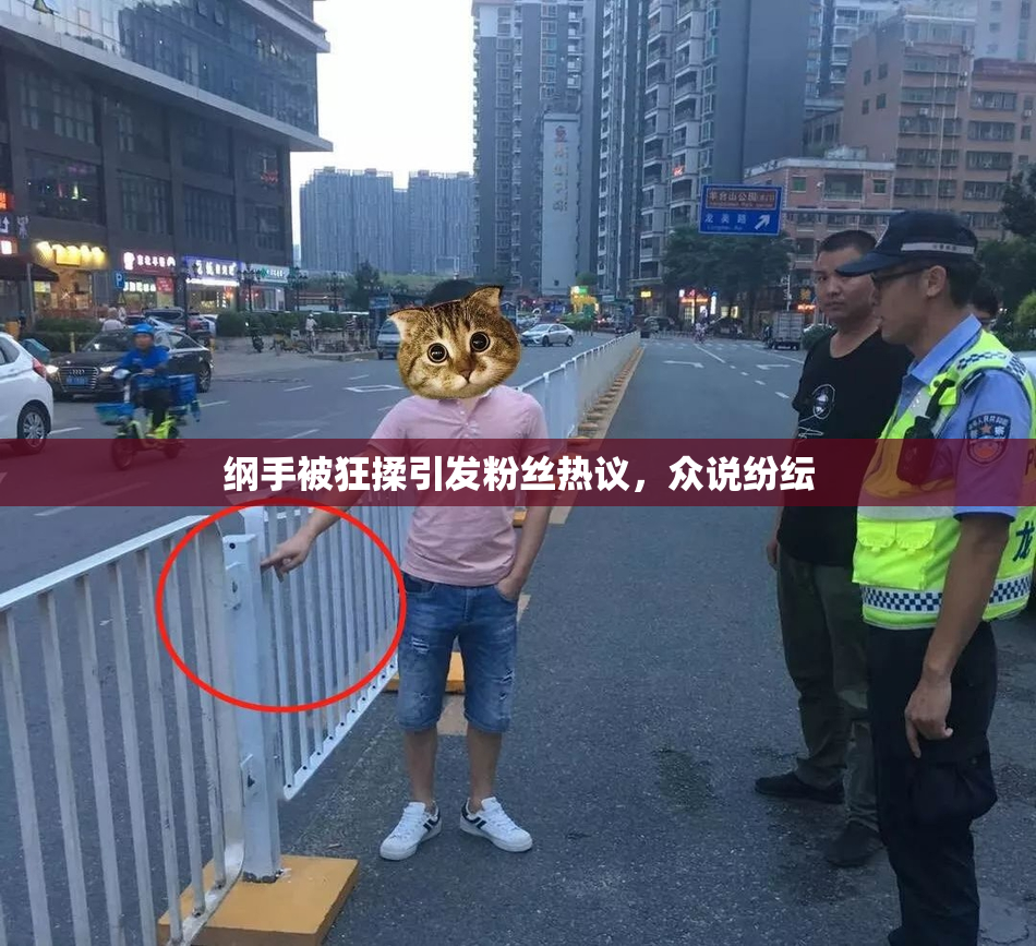 纲手被狂揉引发粉丝热议，众说纷纭