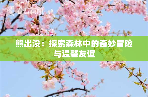 熊出没：探索森林中的奇妙冒险与温馨友谊