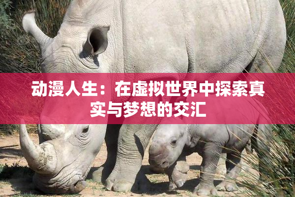 动漫人生：在虚拟世界中探索真实与梦想的交汇
