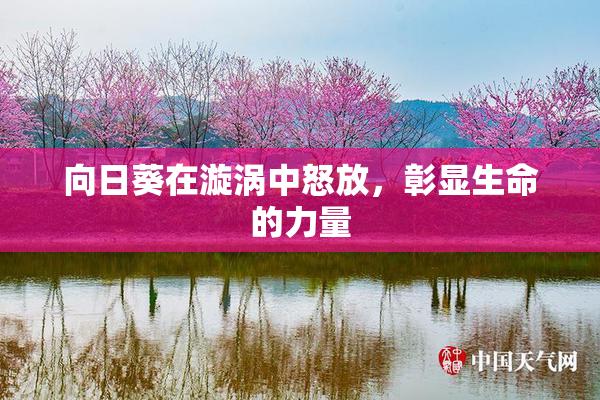 向日葵在漩涡中怒放，彰显生命的力量