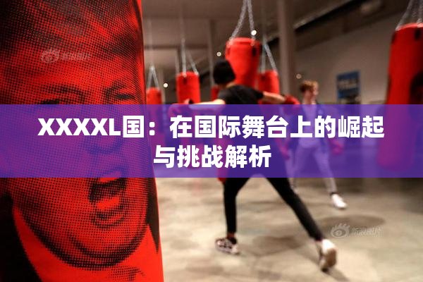 XXXXL国：在国际舞台上的崛起与挑战解析