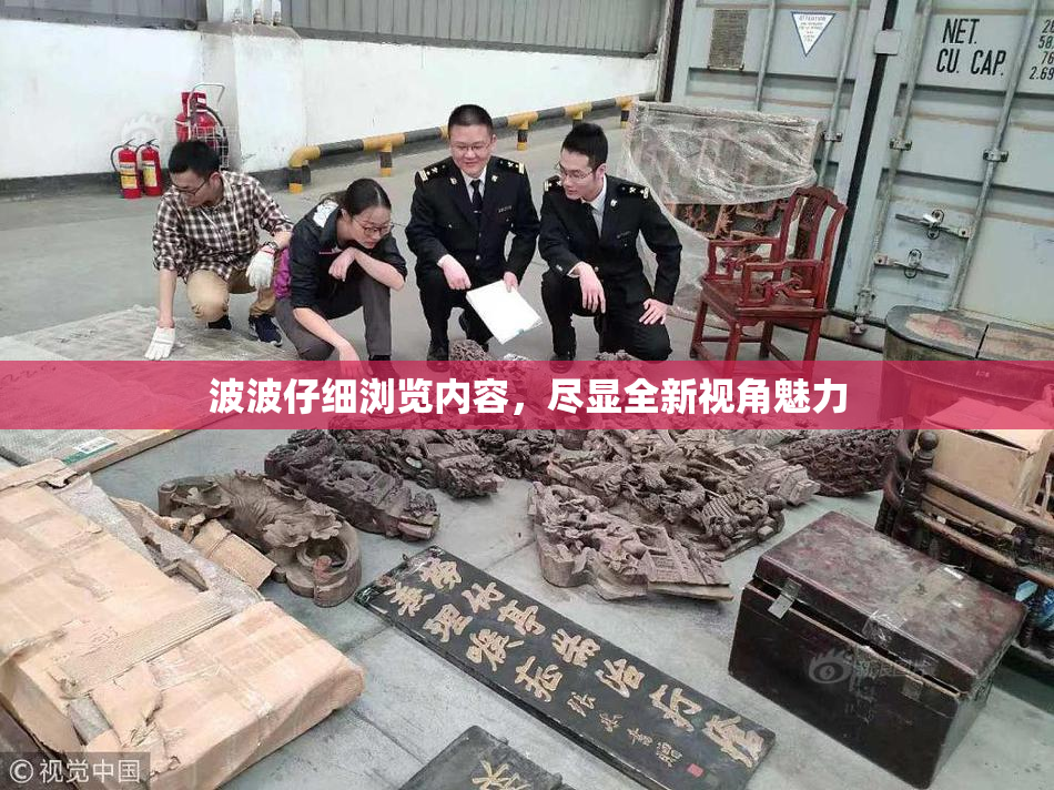 波波仔细浏览内容，尽显全新视角魅力