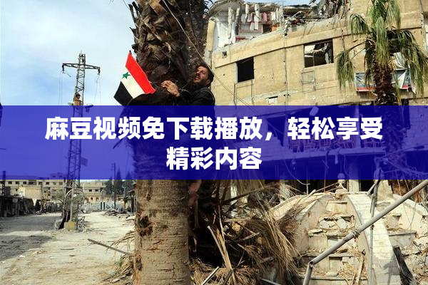 麻豆视频免下载播放，轻松享受精彩内容