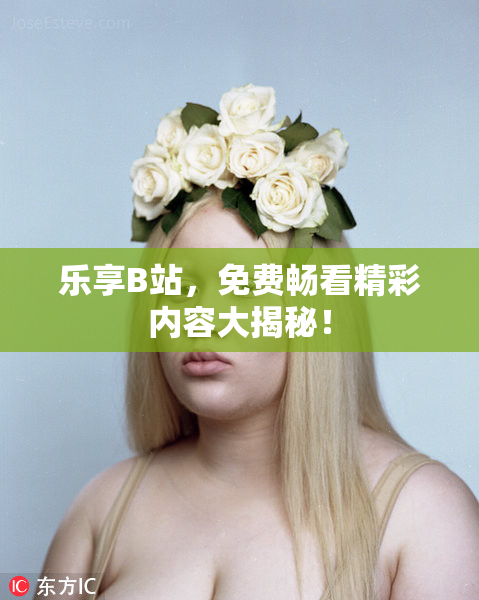 乐享B站，免费畅看精彩内容大揭秘！