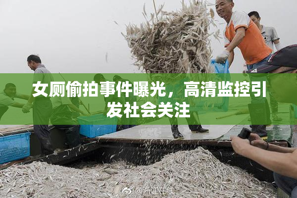 女厕偷拍事件曝光，高清监控引发社会关注