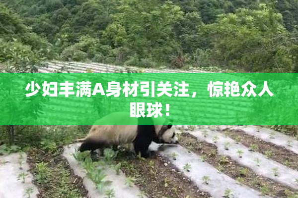 少妇丰满A身材引关注，惊艳众人眼球！