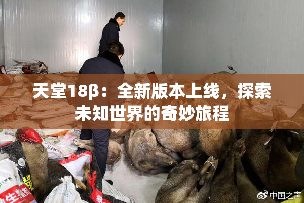 天堂18β：全新版本上线，探索未知世界的奇妙旅程