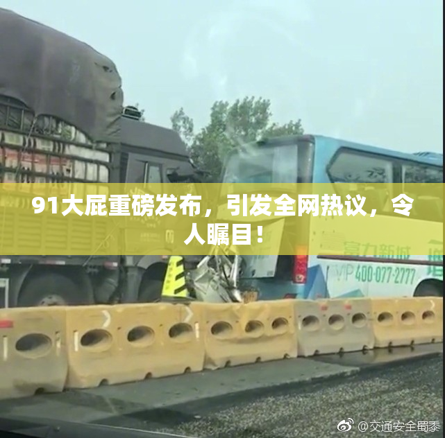 91大屁重磅发布，引发全网热议，令人瞩目！