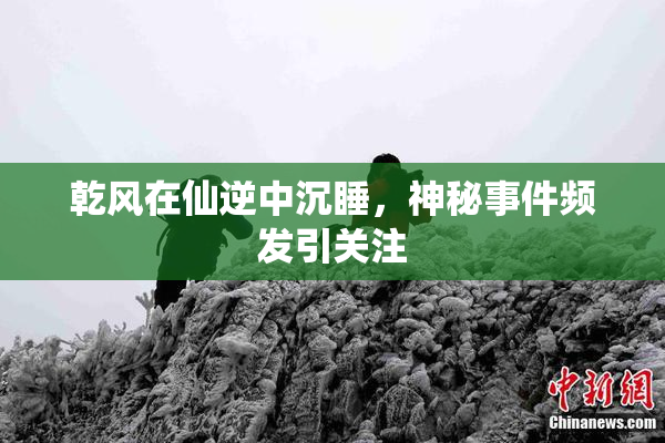 乾风在仙逆中沉睡，神秘事件频发引关注
