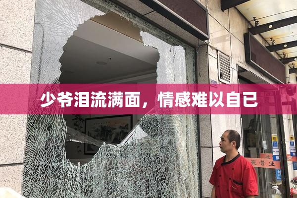 少爷泪流满面，情感难以自已