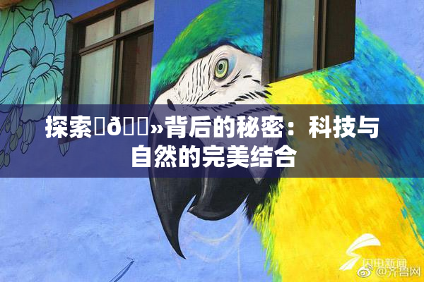 探索‌🐻背后的秘密：科技与自然的完美结合