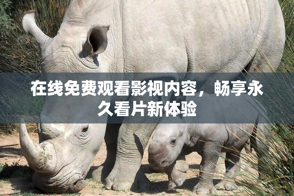 在线免费观看影视内容，畅享永久看片新体验