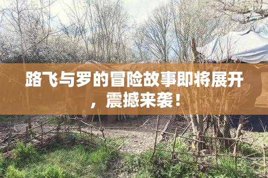 路飞与罗的冒险故事即将展开，震撼来袭！