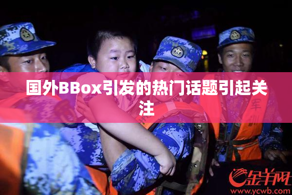 国外BBox引发的热门话题引起关注