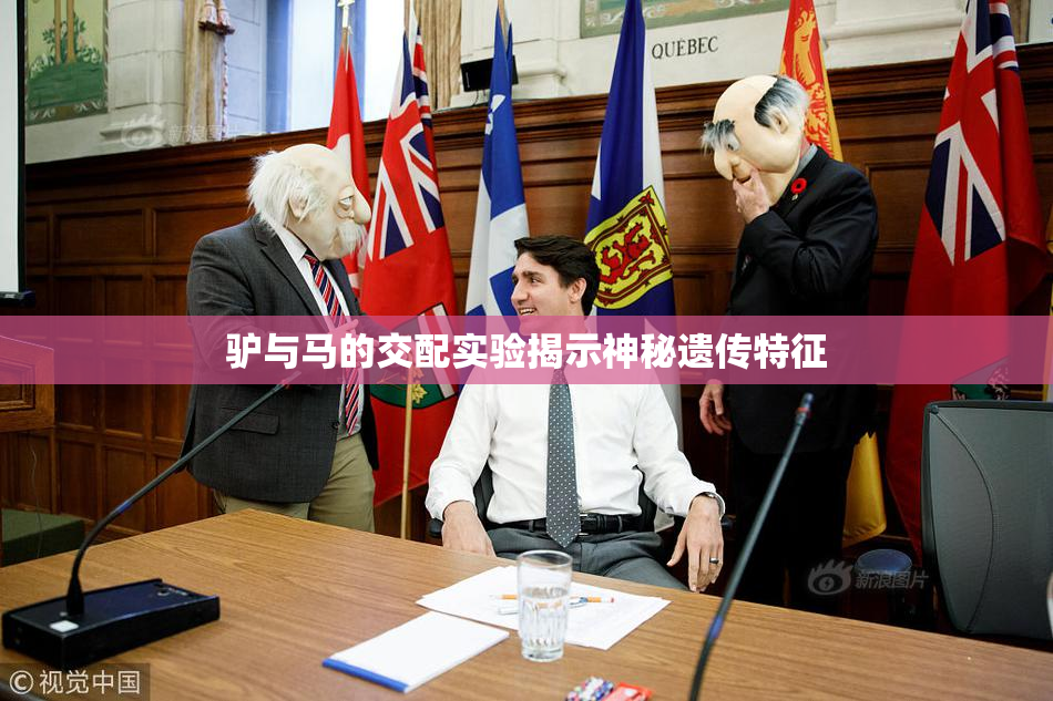 驴与马的交配实验揭示神秘遗传特征