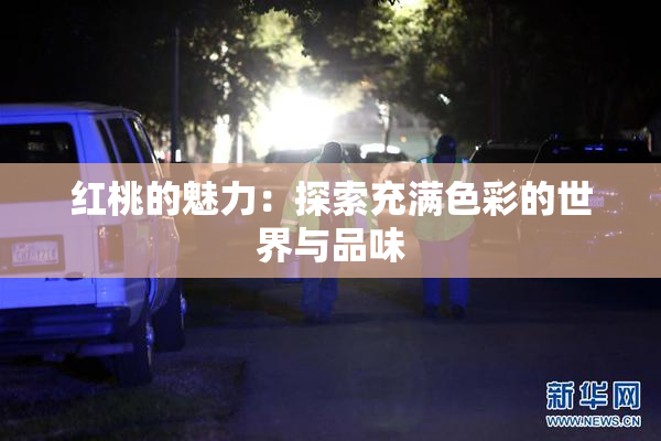 红桃的魅力：探索充满色彩的世界与品味