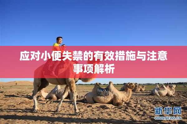 应对小便失禁的有效措施与注意事项解析