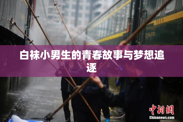 白袜小男生的青春故事与梦想追逐