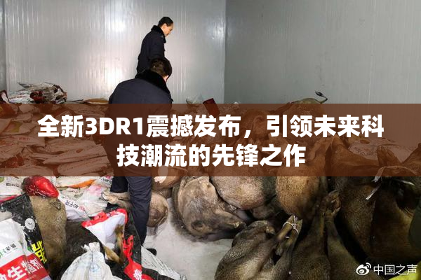 全新3DR1震撼发布，引领未来科技潮流的先锋之作