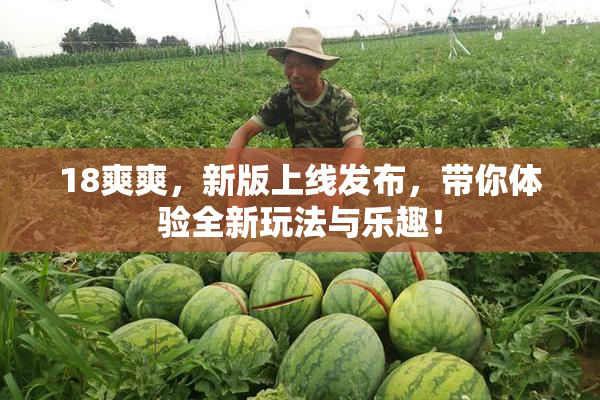 18爽爽，新版上线发布，带你体验全新玩法与乐趣！