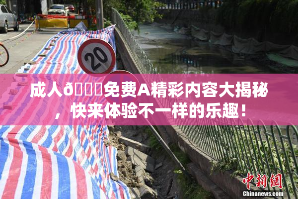 成人🔞免费A精彩内容大揭秘，快来体验不一样的乐趣！