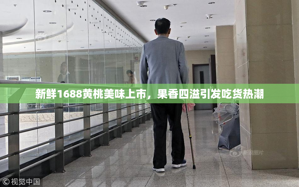 新鲜1688黄桃美味上市，果香四溢引发吃货热潮