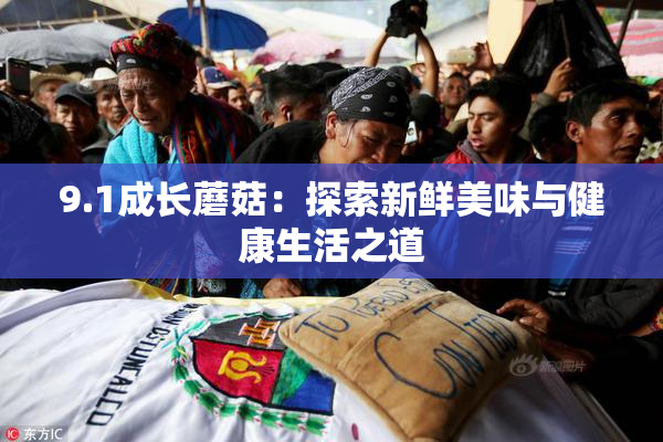 9.1成长蘑菇：探索新鲜美味与健康生活之道
