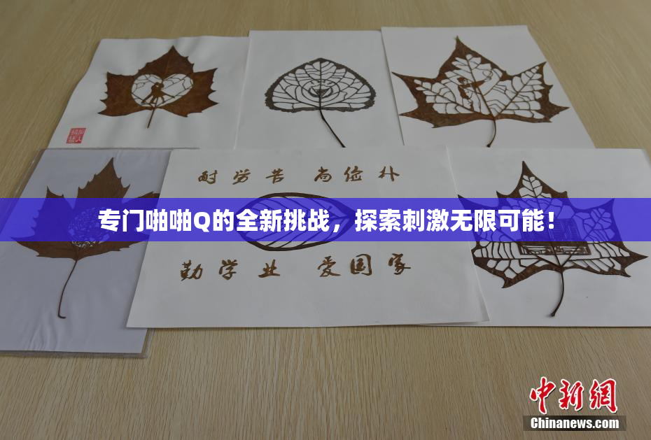 专门啪啪Q的全新挑战，探索刺激无限可能！