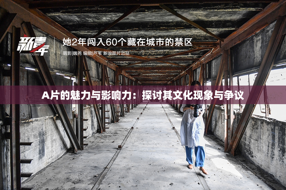 A片的魅力与影响力：探讨其文化现象与争议