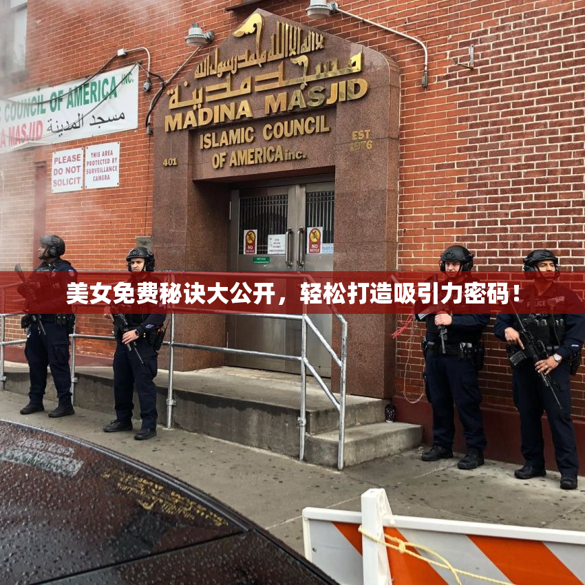 美女免费秘诀大公开，轻松打造吸引力密码！