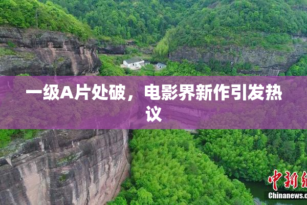 一级A片处破，电影界新作引发热议