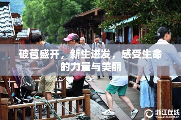 破苞盛开，新生迸发，感受生命的力量与美丽