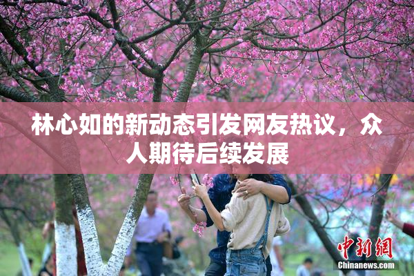 林心如的新动态引发网友热议，众人期待后续发展