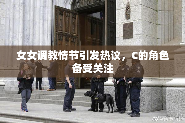 女女调教情节引发热议，C的角色备受关注
