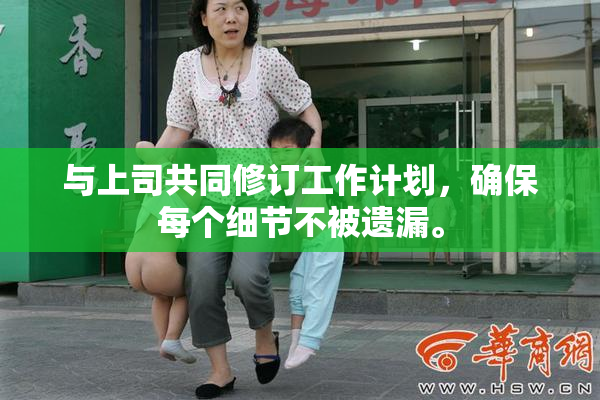 与上司共同修订工作计划，确保每个细节不被遗漏。