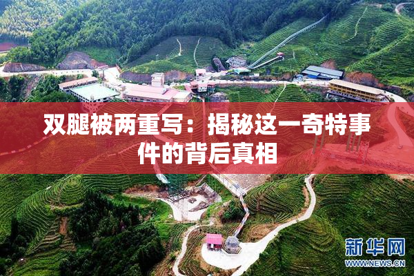 双腿被两重写：揭秘这一奇特事件的背后真相