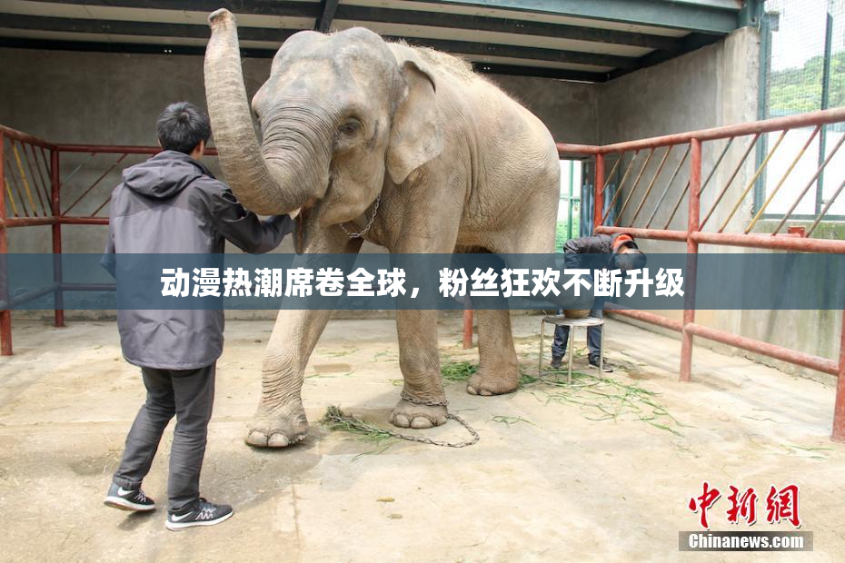 动漫热潮席卷全球，粉丝狂欢不断升级
